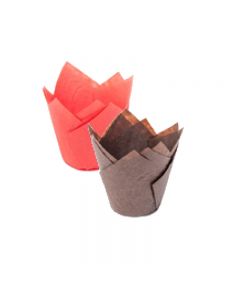 TULIPAS 1*50 UNIDADES